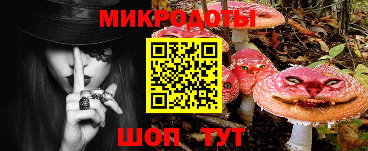 Галлюциногенные грибы прущие грибы Горно-Алтайск